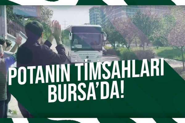 Cedevita Olimpija'yı Eleyen Potanın Timsahları Bursa'da!